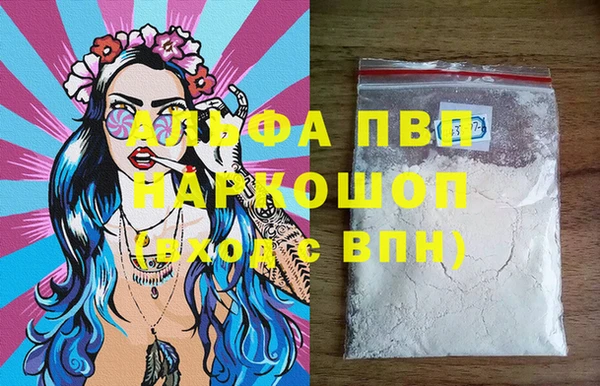 стаф Алексин