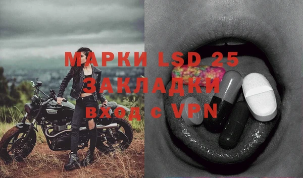 стаф Алексин