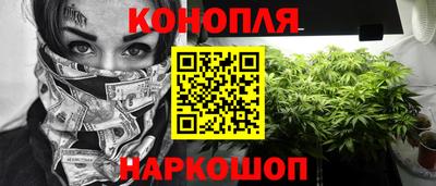 прущие грибы Пушкино